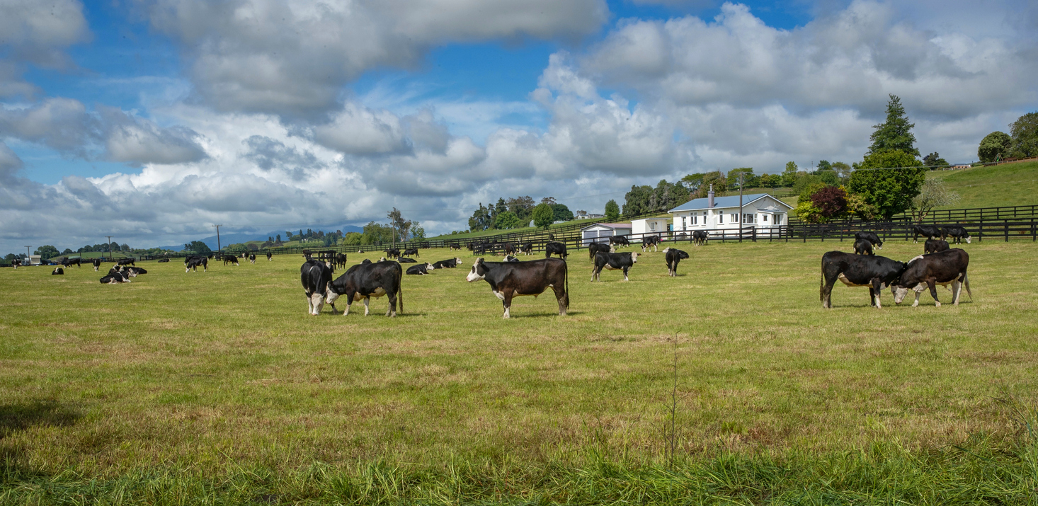 Legal article from Blackman Spargo Rural Law